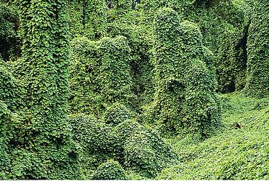 回合制战略游戏《征服之歌》即将结束抢先体验 5月20日正式发售