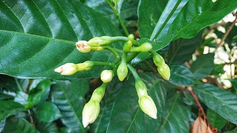 传闻：《星空》目前状况十分糟糕 B社需要更多时间开发